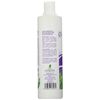 Sanasur Shampoo, Pack of 1 (1 x 1 Item)