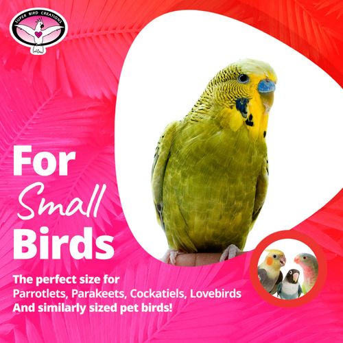 Super Bird Creations SB473 Peekaboo Perch Tent for Small Birds, Bird Bed & Parrot Perch, Ideal Bird Cage Accessories for Parakeets, Finch, Canary Cockatiels, Comfortable Bird Perches Cage, 10”x4”x4.5”