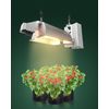 Versatile Adjustable Rope Hanger 4-Pack - Perfect for Plants & Equipment