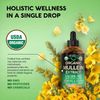 USDA Organic Mullein Supplement - Made in USA - Mullein Leaf Extract Drops - Bro