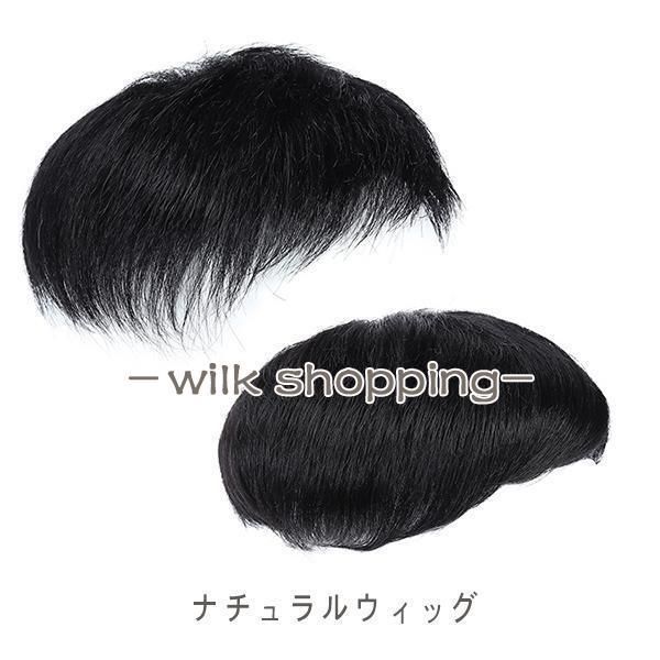 Wigs for men, 100% human hair, top piece, partial wig, top of the head wig, short wig, wig to hide gray hair, hair loss, conceal thinning hair, natural wig, Father&#39;s Day