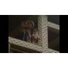 愛∞コンタクト [DVD]