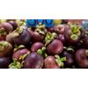 Antioxidant Elixir - MANGOSTEEN COMPLEX - Premium Defense - 1B 60 Caps