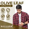 HallOlive leaf Extract 1000 mg - Immune Support - Herbal Supplements - 60 Cap