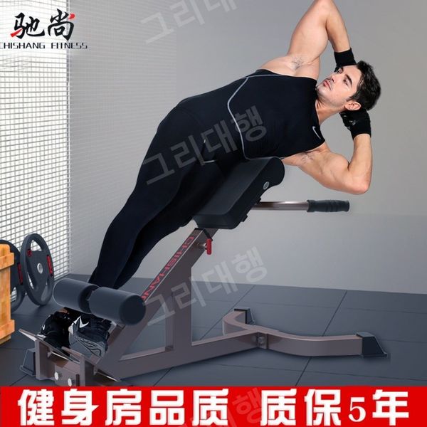 Back Extension Roman Chair Roman Core Exercise Side Abdominal Waist Exercise Equipment, 02 V602, 02.V602