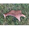 X-Large Dog Chew! Moose Antler! 2 Pounds!