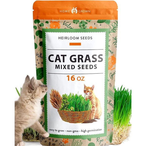 HOME GROWN 1 Pound Cat Grass Seeds for Indoor Cats & Pets - Ready to Eat in 7 Days - Quick & Easy to Grow | Cat Grass for Digestion & Hairballs | 100% Non-GMO Heirloom Oat Barley Seeds