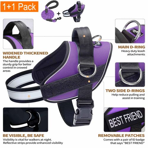 Haapaw Essential Dog Harness, No Pull Pet Vest with 3 Leash Clips, No Choke, Reflective, Adjustable and Padded, for Easy Walking and Training for Medium Dogs(M, Purple)