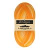 Scheepjes Arcadia Tones 100g - 705 Outback, Orange Yarn