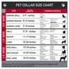 Buckle-Down Plastic Clip Collar - Zebra - 1.5" Wide - Fits 16-23" Neck - Medium