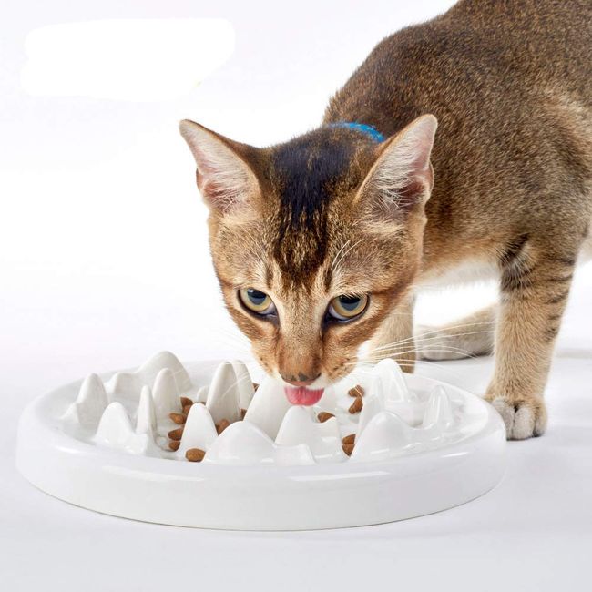 Cat Slow Feeder Bowl Fish-Shaped Cat Puzzle Feeder Food Mat for
