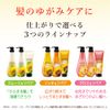 Diaborte Oil In Conditioner (Smooth & Repair) Pump Treatment, 17.6 oz (500 g) (x1)