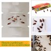 Non-Toxic Roach Busters Cockroach Spiders Traps Sticky Boards Eco-Friendly 5pcs