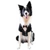 Frenchie Mini Couture Dog Tuxedo, (Medium)