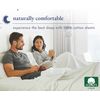 100% Cotton 2-Pack Twin Size Bed Sheets, Soft & Durable Twin Sheets Set Cotton w