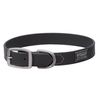 Terrain D.O.G. Brahma Webb Dog Collar
