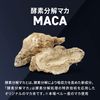 FINE SPORTS ダンディバイタル54000 シトルリン 特許成分 酵素分解マカ アルギニン 亜鉛 厳選16種 240粒 国産 栄養機能食品