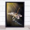 Fingerprint Designs Dragonfly close up on stick light rays Wall Art Print