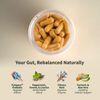 Snap Supplements Organic Spirulina and Gut Health Bundle