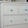 Nicola Spring Resin Cupboard Drawer Handle Knob - Turquoise