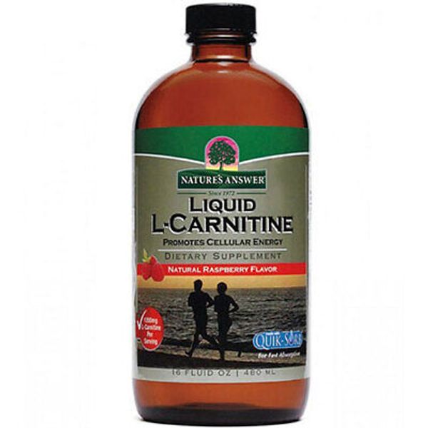 Liquid L-carnitine 16 Oz By Nature's Answer