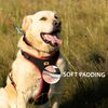 Ferplast Medium Size Dog Harness ERGOCOMFORT MEDIUM, Adjustable Dog Harness, Comfortable, Padded, Double Micro-adjustment Closure, Quick Release, Red