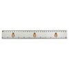 'Grumpy Capybara' 30cm (12 Inch) White Plastic Ruler (RL00068370)