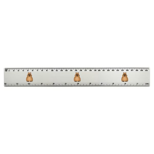 'Grumpy Capybara' 30cm (12 Inch) White Plastic Ruler (RL00068370)