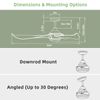 52 Inch Ceiling Fan with Light Reversible DC Motor w/6 Wind Speeds & 8H Timer