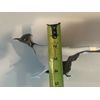 Roadrunner 2 " Trailer Hitch Chrome Hitch Cover 
