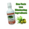 Nit Free Shampoo, 8oz Olive Oil Based