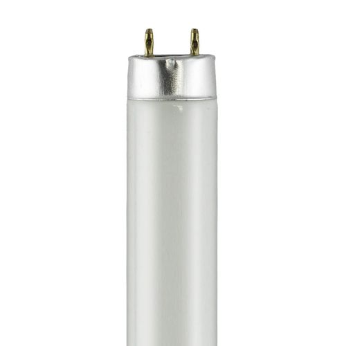 Norman Lamps F18T8/CW/28 Cool-White 4200K - Watts: 18W, Type: T8 Fluorescent Tube, Color
