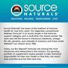Source Naturals, Magnesium Malate 3750 mg per Serving  360TAB