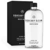Squeaky Clean Alcohol Free Mouthwash 16 Ounce. Fresh Breath Oral Mouth Rinse. Cool Minty Flavor. Treats Bad Breath.