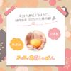 浅草 蒟蒻 Soaps 浅草 枝垂桜 Cherry Sakura