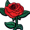 Red Rose Embroidered Badge Iron On Sew On Patch
