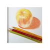 Caran D'Ache Pablo Pencil Sky Blue