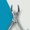 DEXA DENTAL Heavy Duty Dental Extracting Forceps # 151 Apical Forcep