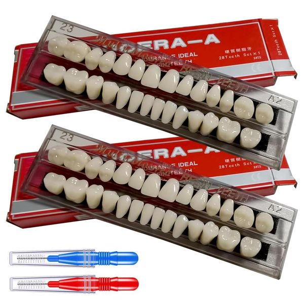 56 Pcs False Teeth Acrylic Resin Denture Teeth, 2 Set Whole Teeth Synthetic Polymer Denture Tooth, 23 Shade A2 Upper + Lower Dental Materials for Replacement, DIY or Party