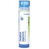 Boiron Caladium Seguinum 30C for Intense Itching - 80 Pellets