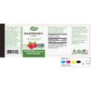 Red Raspberry Leaf (16.9 oz (480 mg) 100 Capsules