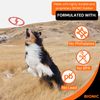 Bionic Toss-n-Tug Ring 9" Super Durable Dog Toy