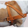Tan Leather Dog Pulling Walking Harness Large. 31"-35" Chest, 1.5" Wide Straps