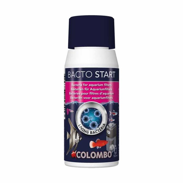 Superfish Bacto Start 100 ml