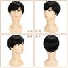 FESHFEN Men's Short Full Wig, Wig, For Medical Use, Natural, Breathable, One Size Fits All, With Net Heat Resistant - black (black 19-3911tcx)
