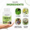 NaturalSlim Constipend Laxative for Constipation Relief & Colon Cleanse, 3-Pack