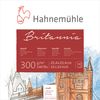 Hahnemuhle Quattro 300gsm Block - 25.4 x 25.4cm