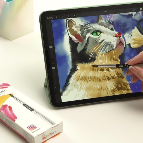 Butouch Professional Digital Paint Brush Stylus