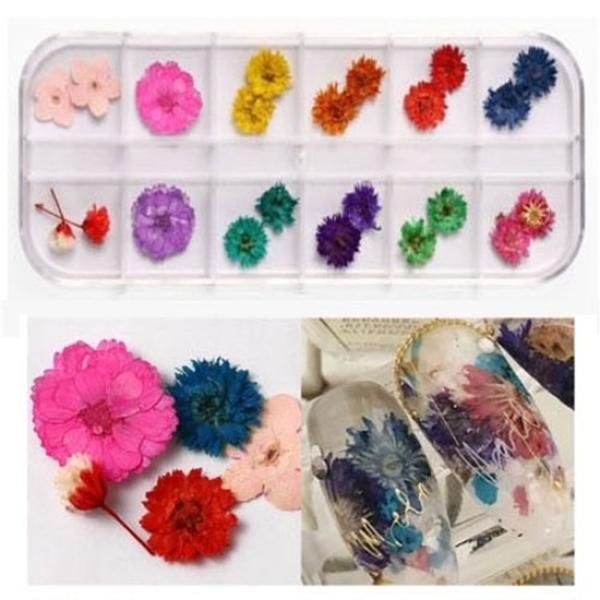 Nail fresh flowers, dried flowers, fresh flowers, dried flowers, gel nails 3