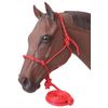 Tough 1 Poly Rope Halter with Knots and Lead, Red